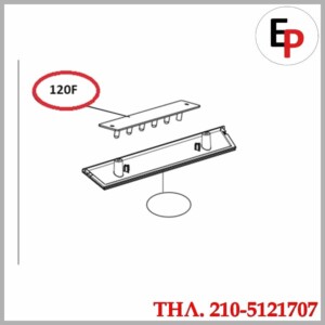 EAV61916711